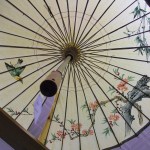 Chinese Paper Parasol